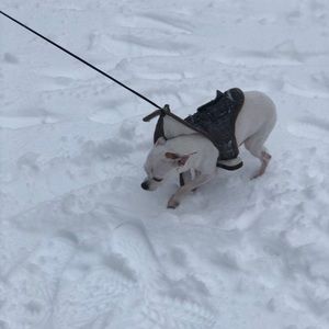 Meet your Posher, Maritza